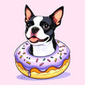 Boston in a donut