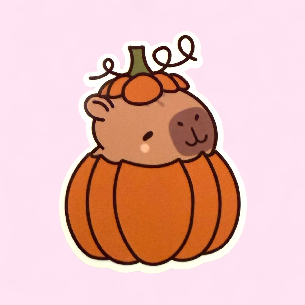 Capybara Pumpkin